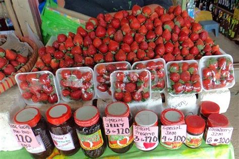 swazigirl: Strawberry Farm ( Baguio)