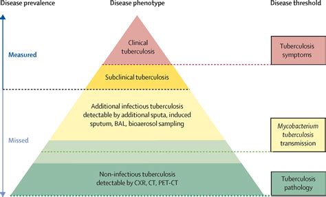 Tuberculosis prevalence: beyond the tip of the iceberg - The Lancet Respiratory Medicine