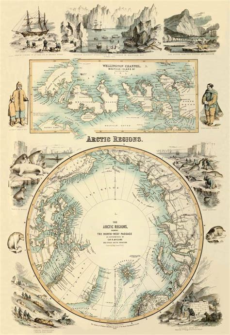 Arctica Map Marvelous Map of the Arctic Regions Arctic Map Wellington ...