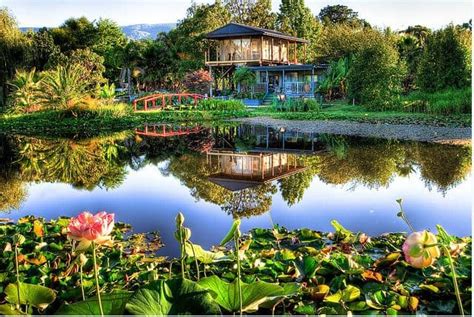 Blue Lotus Water Garden - Price & Cafe Melbourne, Victoria