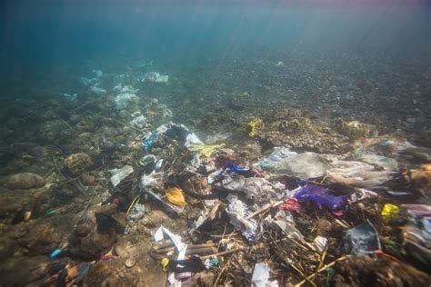 The Troubling Impact of Ocean Plastics on Human Health - One Green Planet