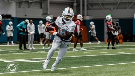 PHOTOS: 2022 Miami Dolphins Practice - November 21