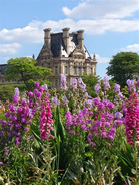 Sunday at the Tuileries Gardens - Purple Chocolat Home