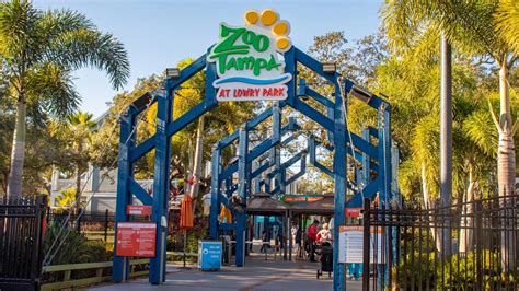 ZooTampa celebrates over 1 million guests in 2021 along with ...