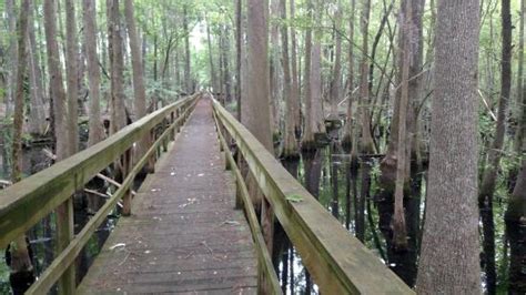 Santee National Wildlife Refuge (Summerton) - All You Need to Know ...