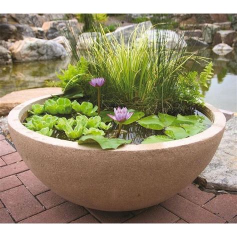 Image result for patio pond | Container water gardens, Indoor water ...