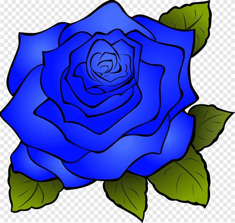 Rose Cartoon Drawing, blue flowers, leaf, plant Stem png | PNGEgg