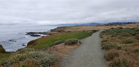 Bluff Trail Hiking Trail, Cambria, California