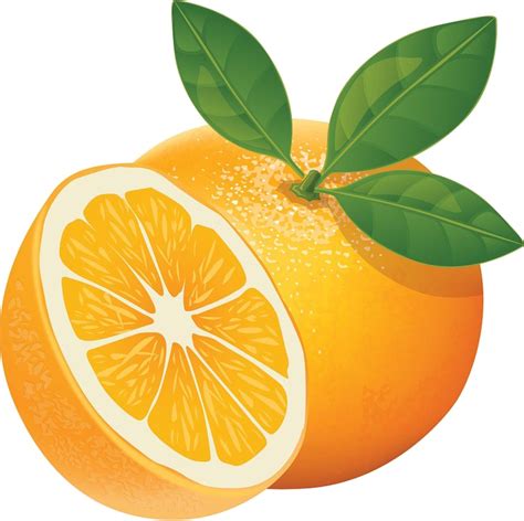 Orange Slice PNG High-Quality Image