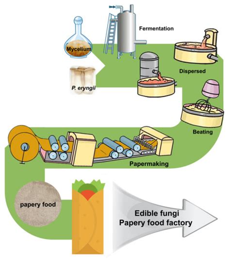 Foods | Free Full-Text | Edible Pleurotus eryngii Papery Food Prepared ...