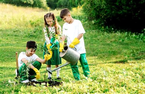 How To Conduct A Tree Planting Activity With Kids