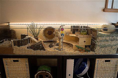 Diy Hamster Cage Ikea Ikea hack Detlof hamster cage – Hamsteromania