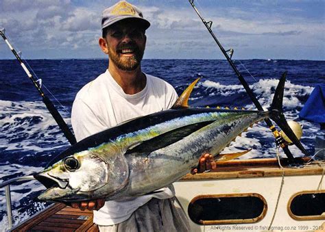 Yellowfin Tuna Fishing - Found in Upper North Island Waters Over Summer