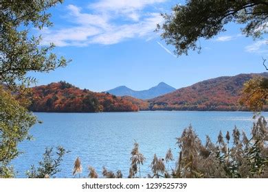 Famous Sightseeing Spot Lake Urabandai Fukushima Stock Photo 1239525739 ...