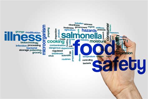 Which Food Safety Course is For Me? | Τhe Training Terminal