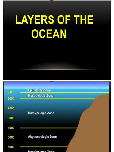 Layers of The Ocean | PDF