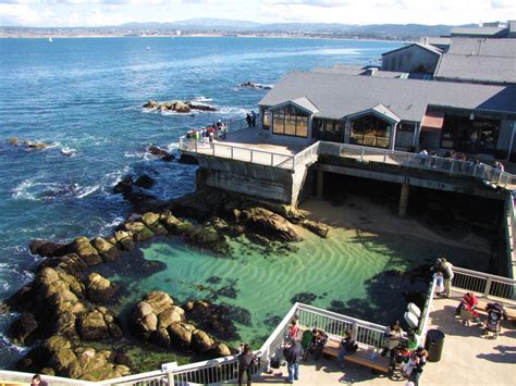 Visit The Monterey Bay Aquarium | HubPages