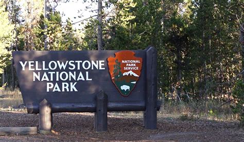 Camper à Yellowstone : mes 8 astuces de survie | Le blog de Mathilde