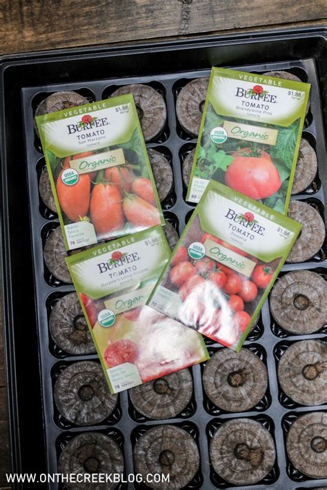 Seed Starting 2020 | Tomato Varieties We Planted - Tiff W. - on the creek blog