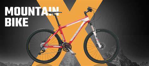 Mountain Bikes | BikeBerry.com