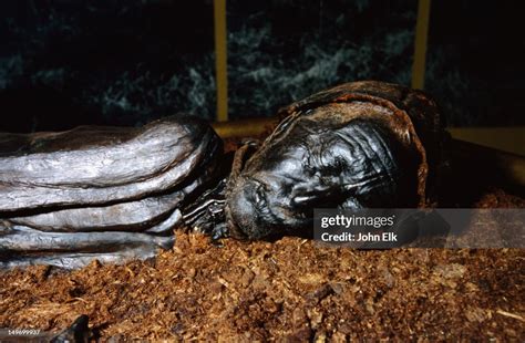 Tollund Man Mummy At Silkeborg Museum High-Res Stock Photo - Getty Images