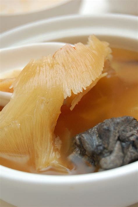 Traditional Food That Needs to Stop: Shark Fin Soup