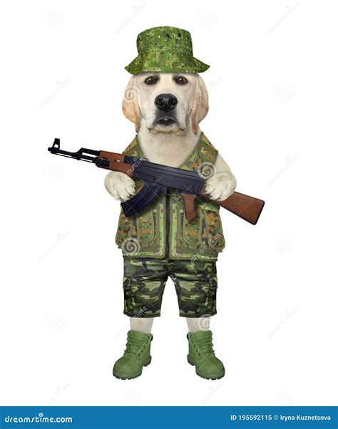 Funny Dogs With Guns