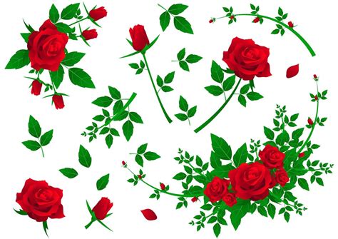 Set of red roses 1266069 Vector Art at Vecteezy