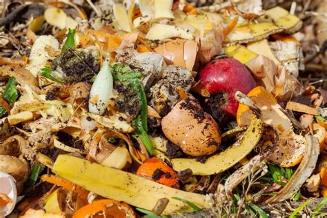 Organic Waste Recycling – Harvest Recycling