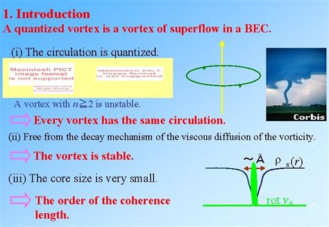 Numerical simulations of superfluid vortex turbulence Vortex dynamics