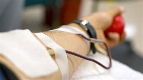 Know all about 'golden blood,' the rarest blood type | NewsBytes