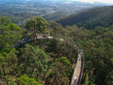 Mount Archer | Amazing Skywalk Treetop Boardwalk, Rockhampton