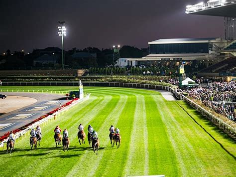 Friday racing tips for Moonee Valley | Best odds | Value bets