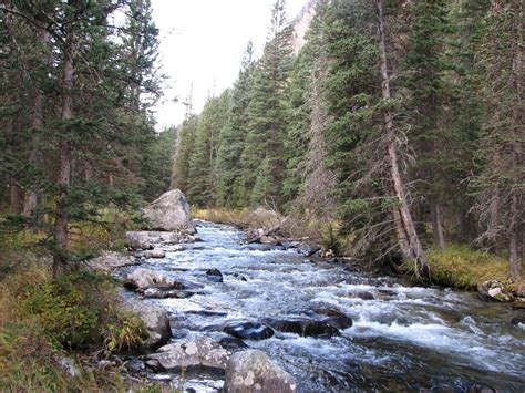 Rock Creek Campgrounds - Red Lodge, Montana - Creekside camping