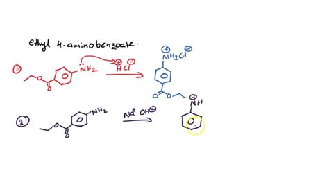 What are the reactions for: ethyl 4-aminobenzoate + HCl –> ethyl 4 ...