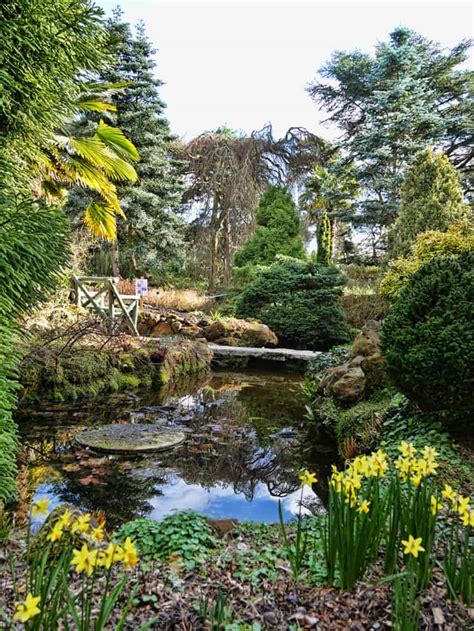 Compton Acres Gardens | One Of The Most Beautiful English Gardens