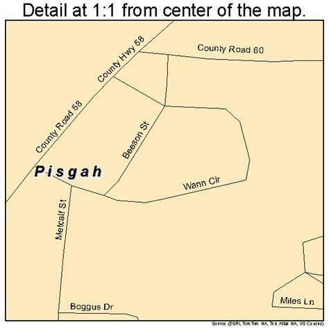 Pisgah Alabama Street Map 0160720