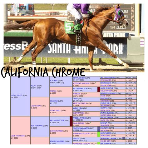 Pin by Steve Edington on Horses | California chrome, Saratoga horse racing, Sport of kings