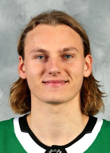 Roope Hintz | Dallas stars hockey, Stars hockey, Hockey stats