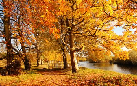 scotland, Autumn, River, Fall Wallpapers HD / Desktop and Mobile ...