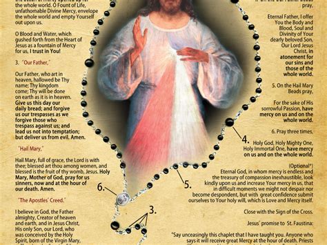 Chaplet Of Divine Mercy Prayer Card Universal Church - vrogue.co