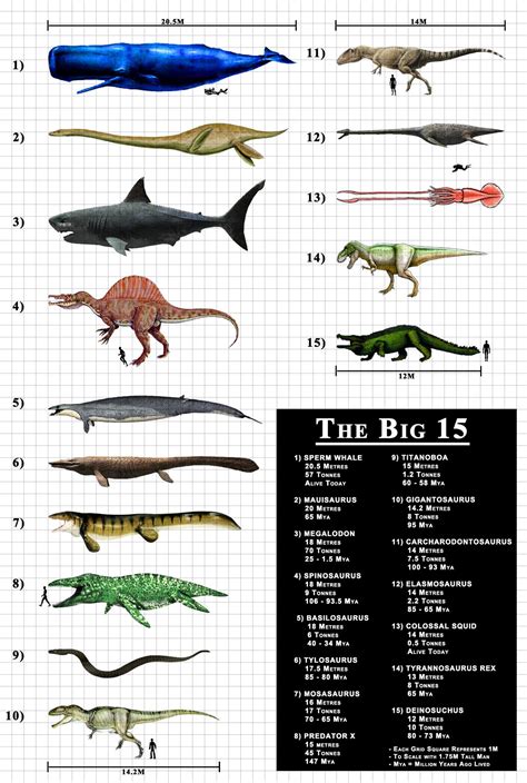 Pin by Calvin Fecteau on prehistoric creatures | Prehistoric animals, Extinct animals ...