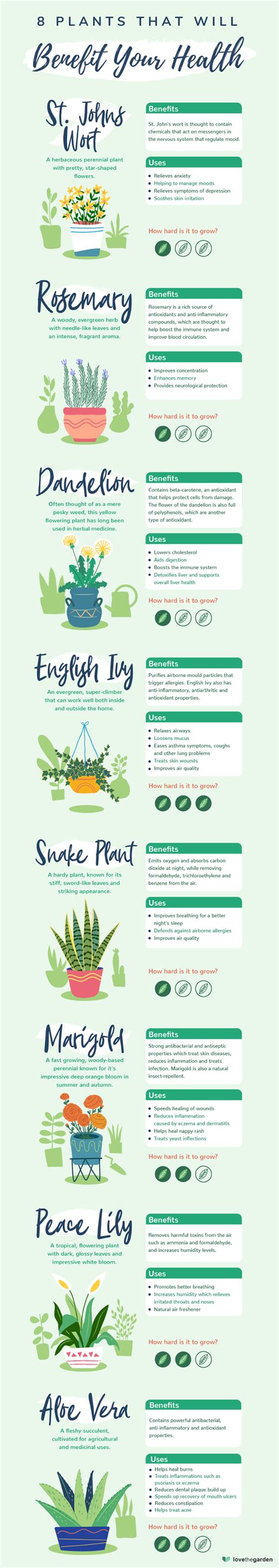 Plants that will incredibly benefit your health #infographic - Visualistan