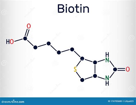 Biotin, Vitamin B7 Molecule. Structural Chemical Formula Stock Vector ...