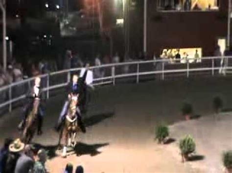 Wise County Fair Horse Show Open Pacing - YouTube