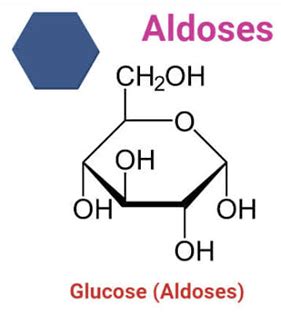 Chemistry: Difference between Aldose and Ketose in Tabular Form- (For CBSE, ICSE, IAS, NET, NRA ...