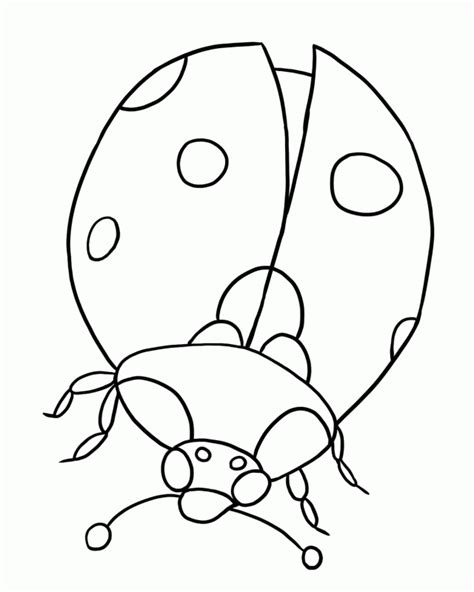 FREE Ladybug Coloring Page 1 177053 Life Cycle Coloring Pages - Coloring Home