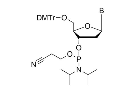 Amidite And Nucleoside Phosphoramidite China Supplier/Manufacturer ...