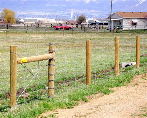 Barbwire & Razor Ribbon - Pinnacle Fencing