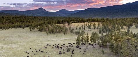 Vermejo Park Ranch | High Desert New Mexico Hotel | Hideaway Report